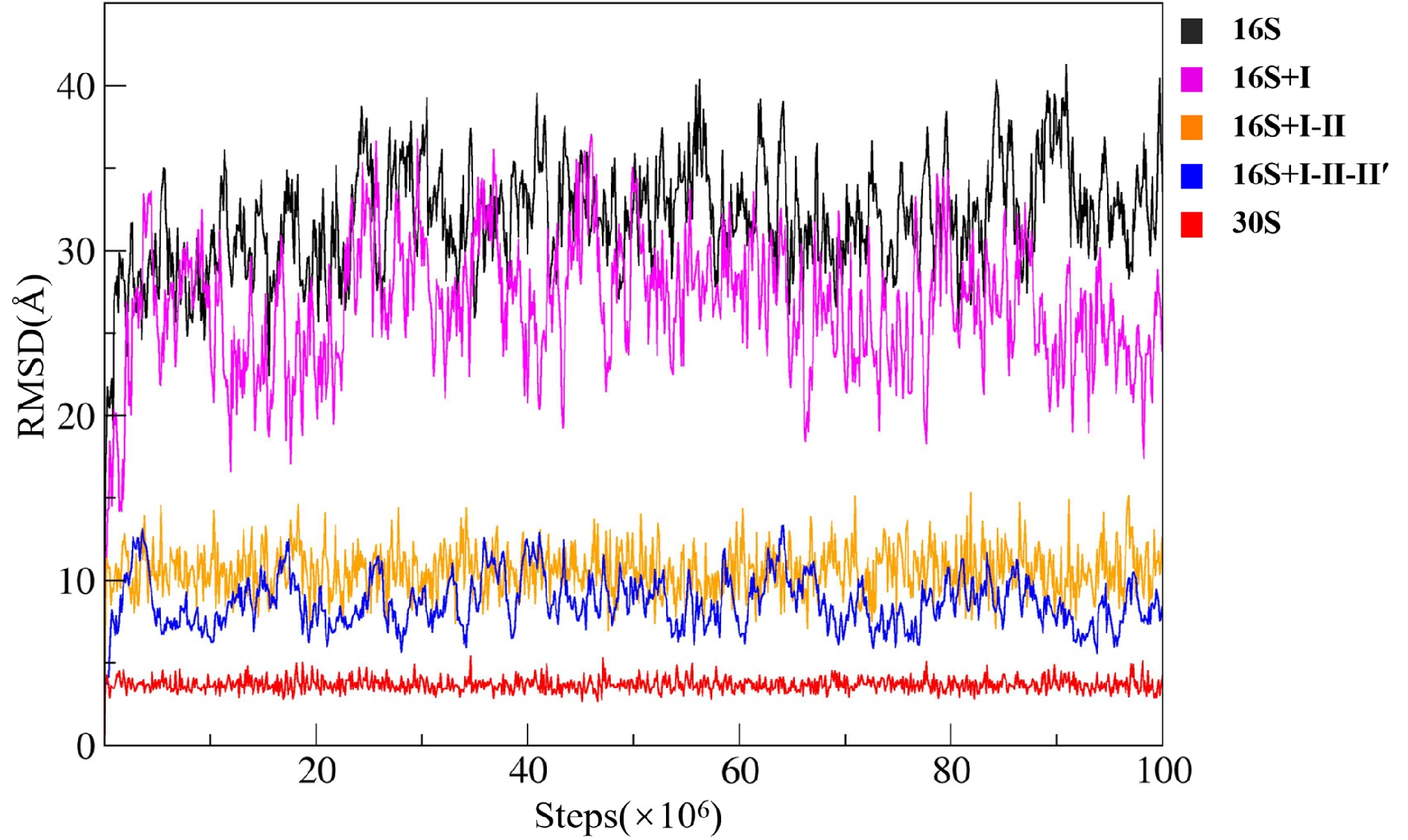 Dynamics in the assembly of the 30S ribosomal subunit investigated by ...